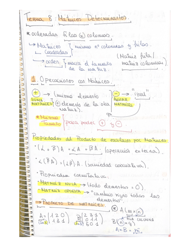 Miniatura del documento Tema-8-Matrices-Determinantes..pdf