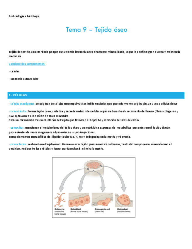 Miniatura del documento TEMA-9.-HISTOLOGIA.pdf