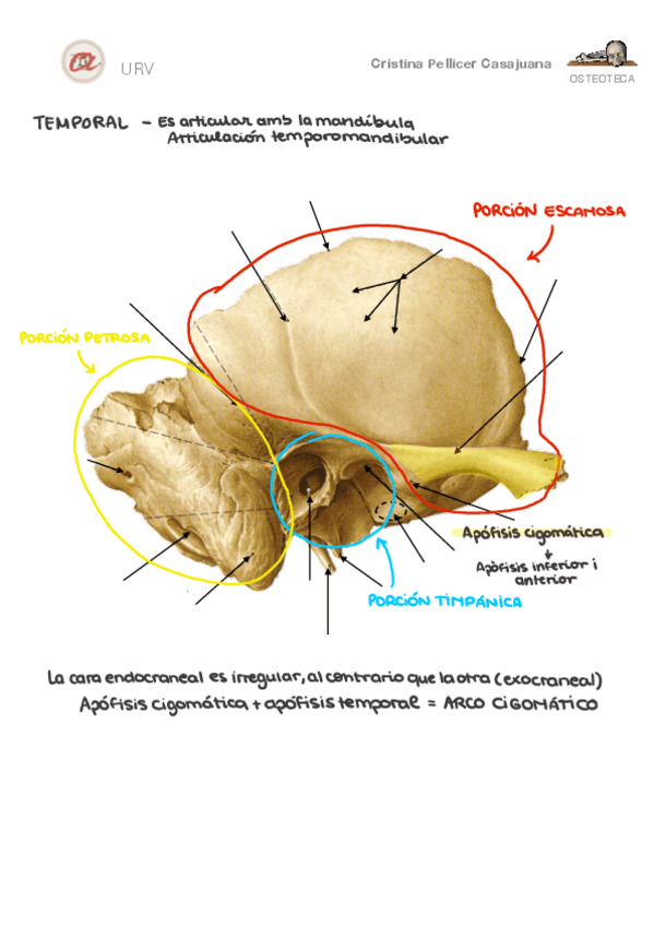 Miniatura del documento CRANEO-OSTEOTECA-FINAL.pdf