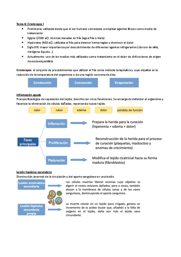 Miniatura del documento PGIF-Tema-6.pdf