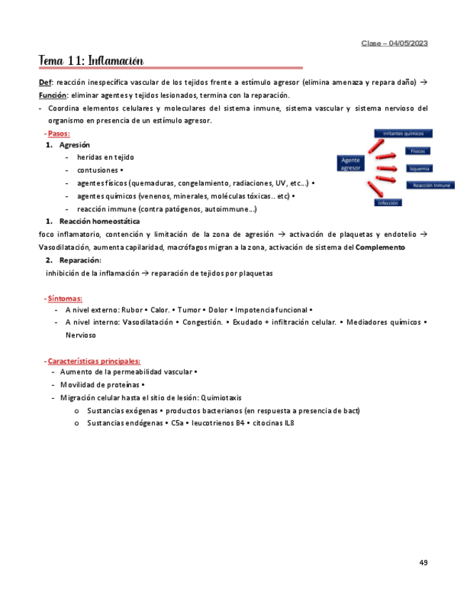 Miniatura del documento TEMA-11-INMUNO.pdf