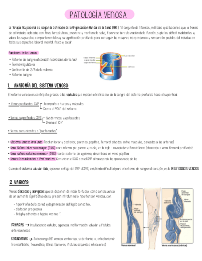 Miniatura del documento Tema-patologia-venosa-AMQ-III.pdf