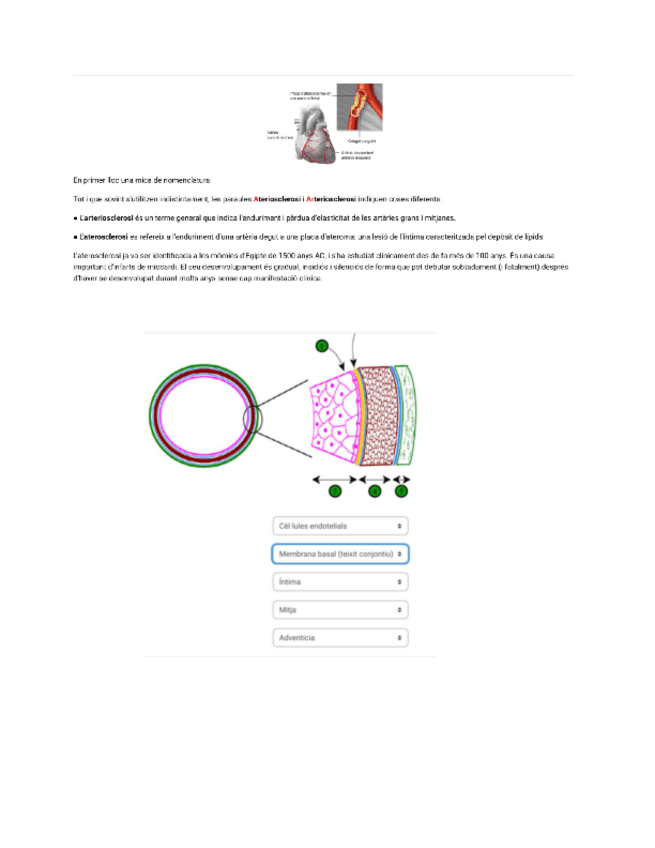 Miniatura del documento problema-colesterol-respuestas.pdf