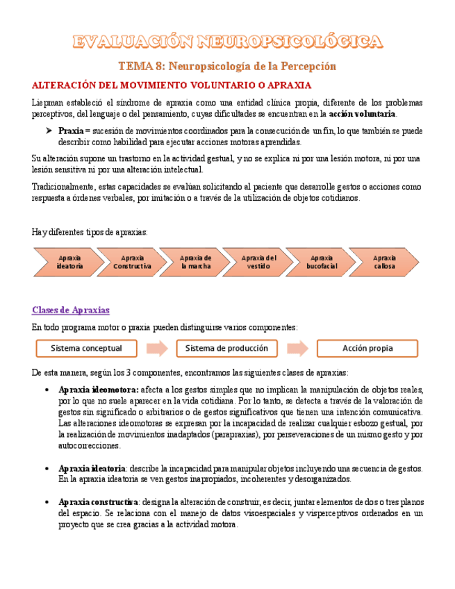 Miniatura del documento Tema-8-Evaluacion-Neuropsicologica.pdf