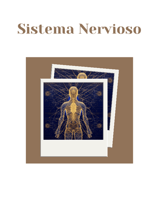 Miniatura del documento Sistema-Nervioso.pdf