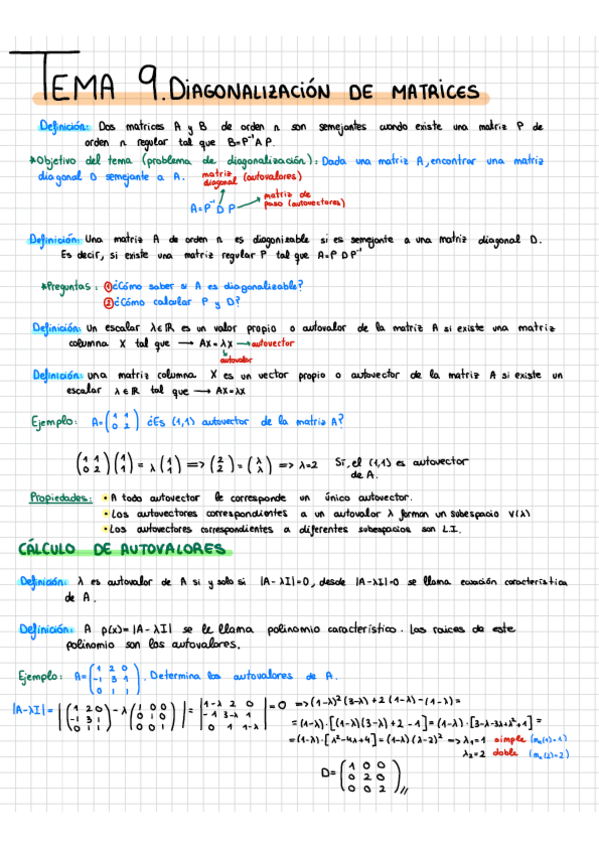 Miniatura del documento Tema-9-Diagonalizacion-Resumen.pdf