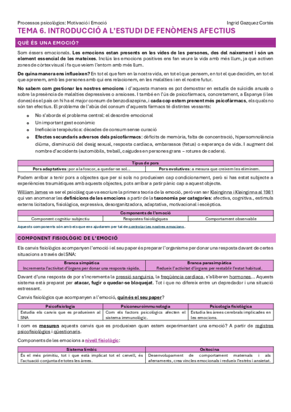 Miniatura del documento TEMA-6Introduccio-a-lestudi-de-fenomens-afectius.pdf
