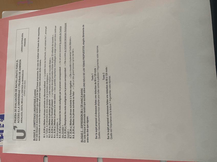 Miniatura del documento IMG8844.jpeg