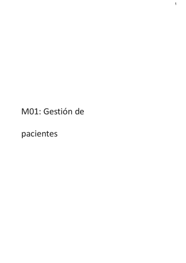 Miniatura del documento M01-Gestion-de-pacientesesquema.pdf