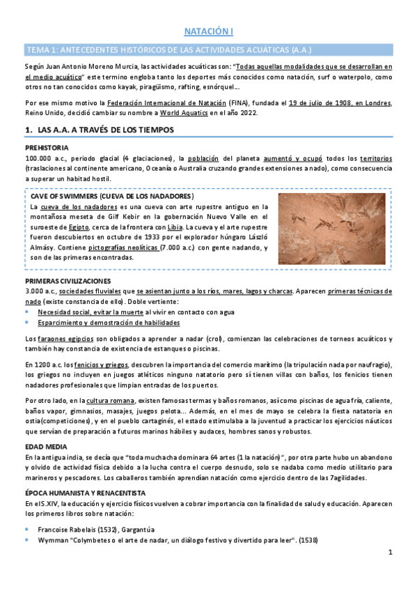 Miniatura del documento TEMA-1-NATACION-I.pdf