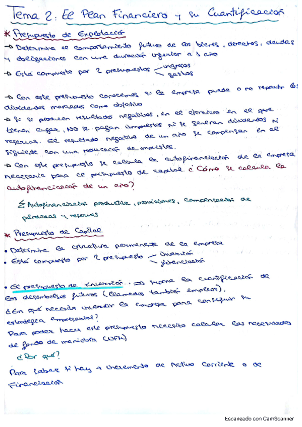 Miniatura del documento TEMA-2-PLANIFICACION.pdf