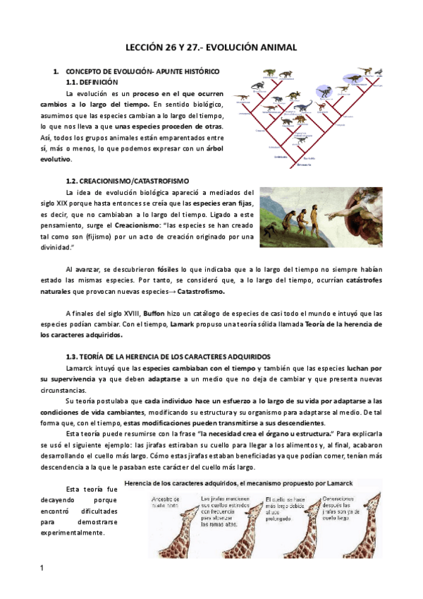Miniatura del documento LECCION-26-Y-27-ZOO.pdf