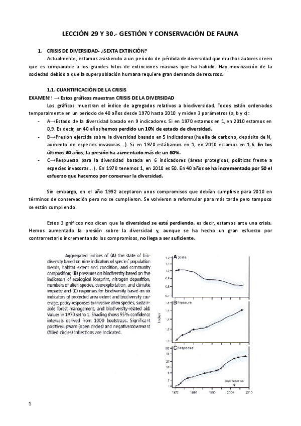 Miniatura del documento LECCION-29-Y-30-ZOO.pdf