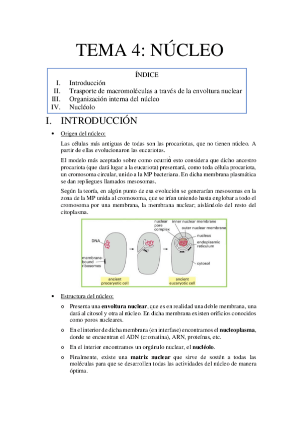 Miniatura del documento TEMA 4.pdf
