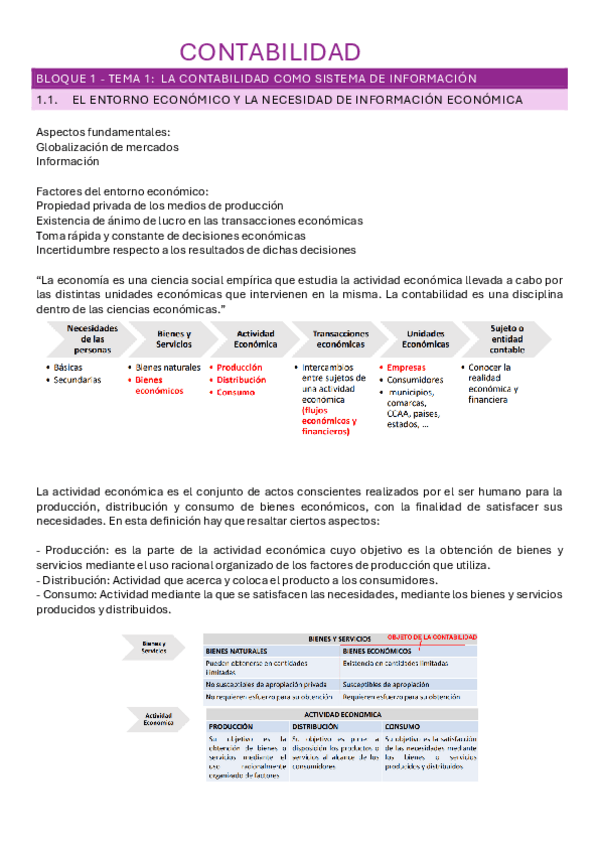 Miniatura del documento CONTABILIDAD-tema-1-bloque-1.pdf