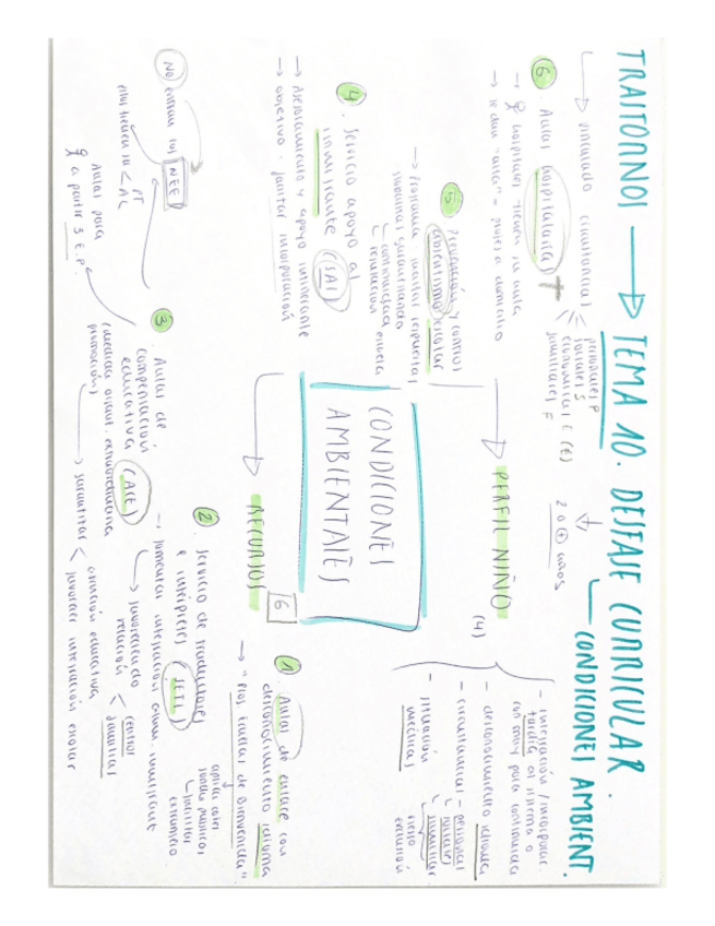 Miniatura del documento ESQUEMAtema-10-Condiciones-ambientales.pdf