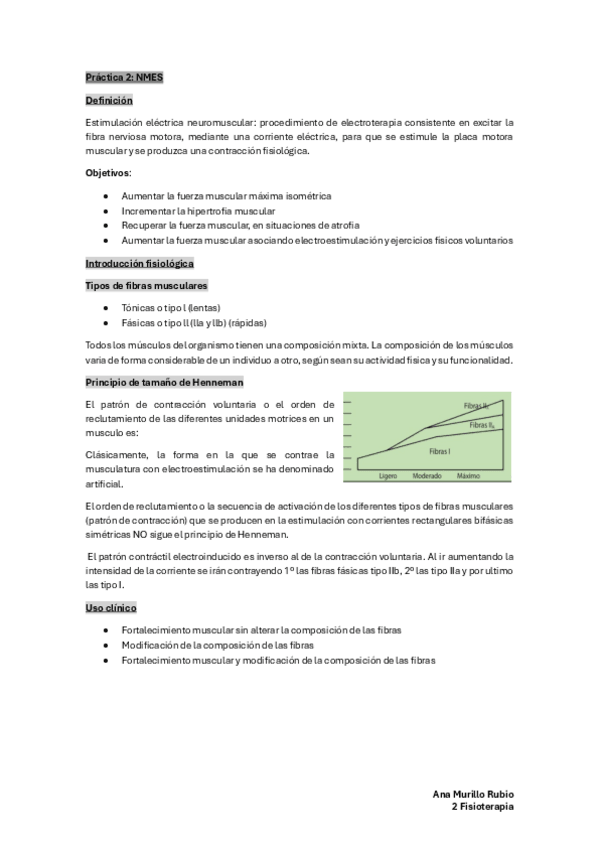 Miniatura del documento Practica-2-NEMS.pdf