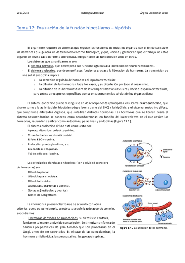 Miniatura del documento 17. Evaluación de la función hipotálamo - hipófisis.pdf