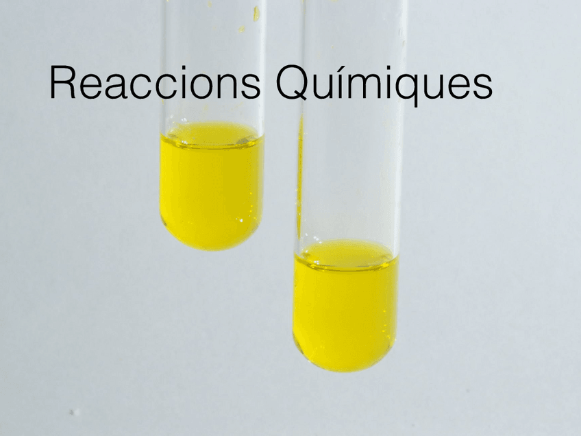 Miniatura del documento Reaccions-quimiques.pdf