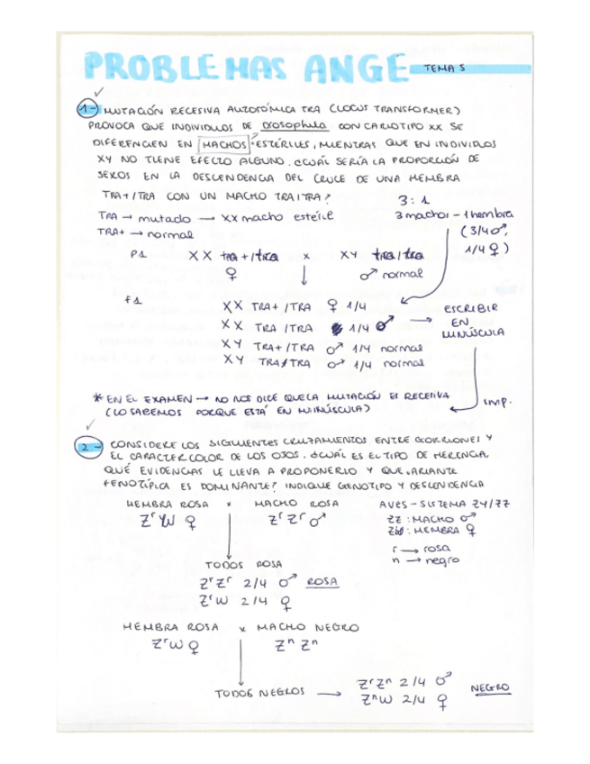 Miniatura del documento AG-Tema-5.pdf