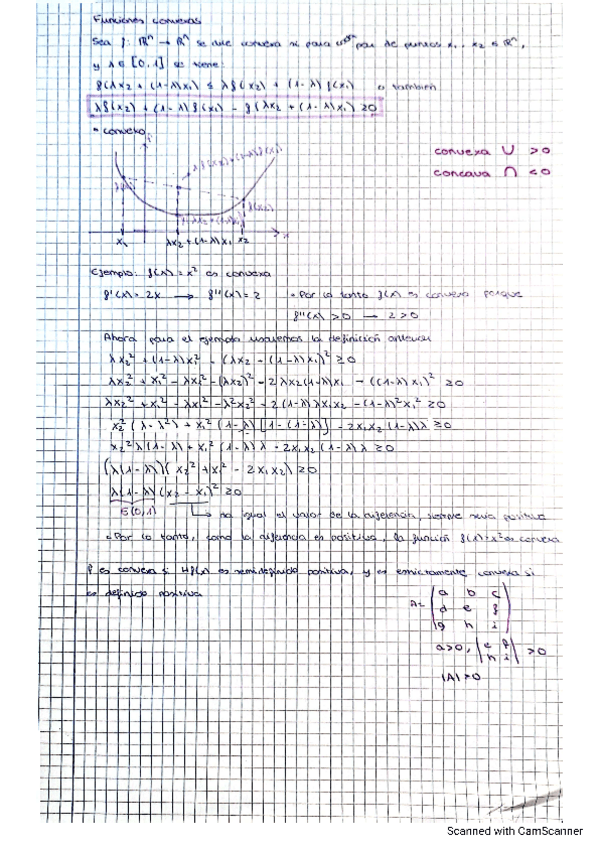 Miniatura del documento funciones-concavas-y-convexas-apuntes-y-ejercicios.pdf