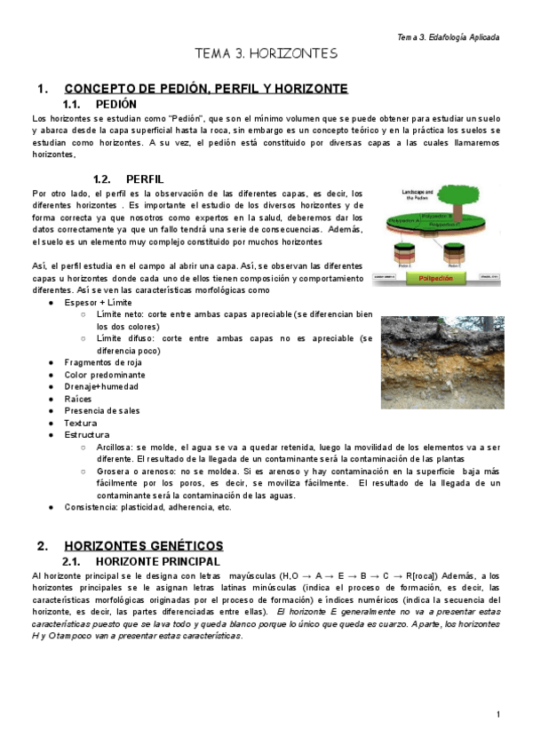 Miniatura del documento Tema III..pdf