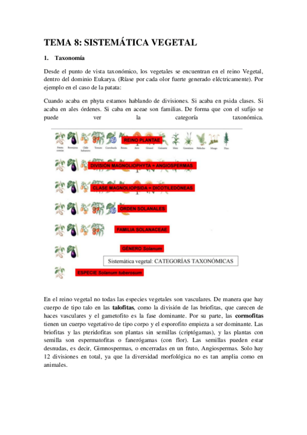 Miniatura del documento TEMA 8 completo.pdf
