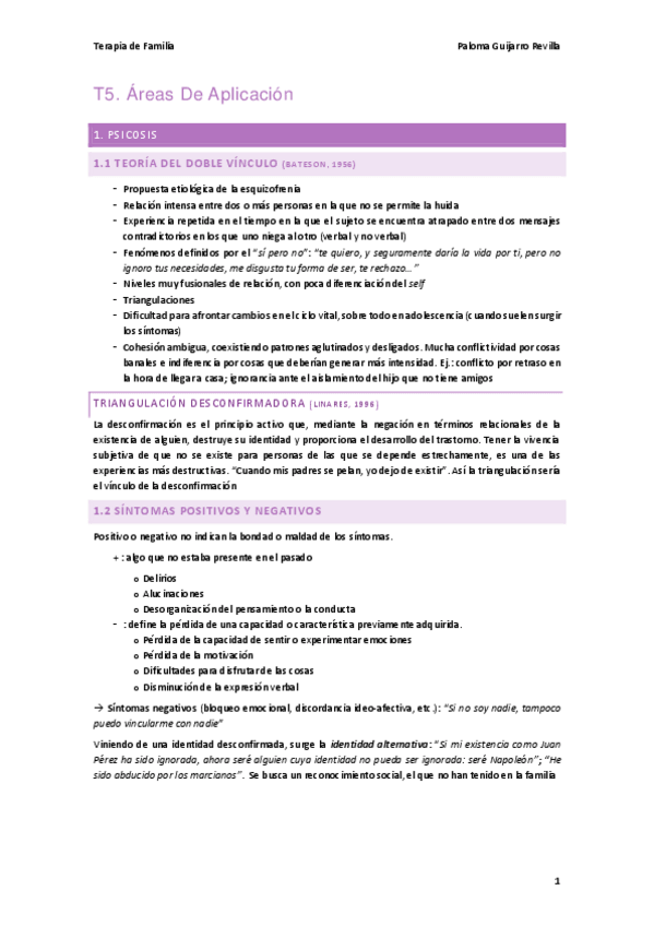 Miniatura del documento T5.-Areas-De-Aplicacion.pdf