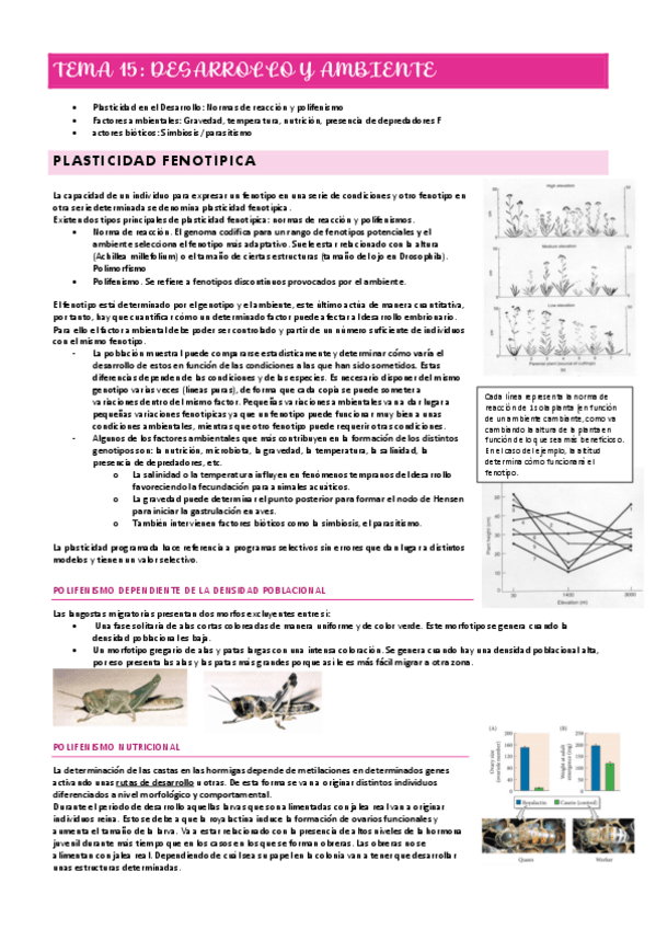 Miniatura del documento TEMA-15-desarrollo-y-ambiente.pdf