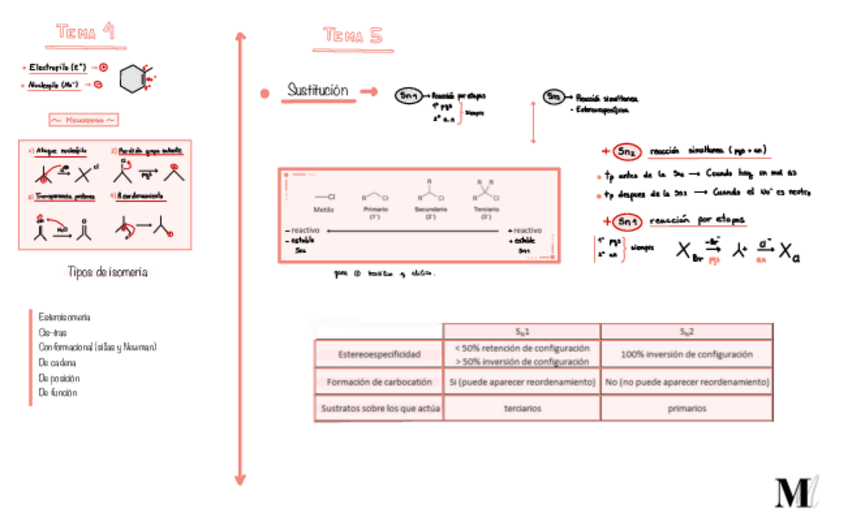 Miniatura del documento Tema-4-y-5-Organica.pdf