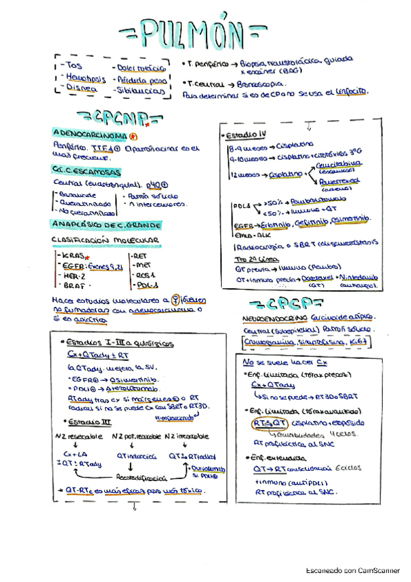 Miniatura del documento 4.-Tumores-pulmonares.pdf