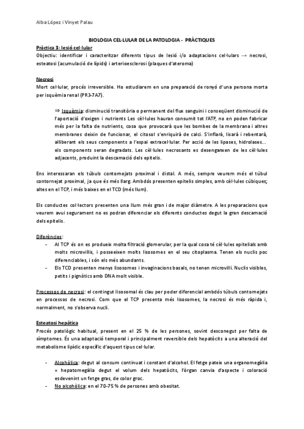 Miniatura del documento Practica-3.-lesio-cellular.pdf