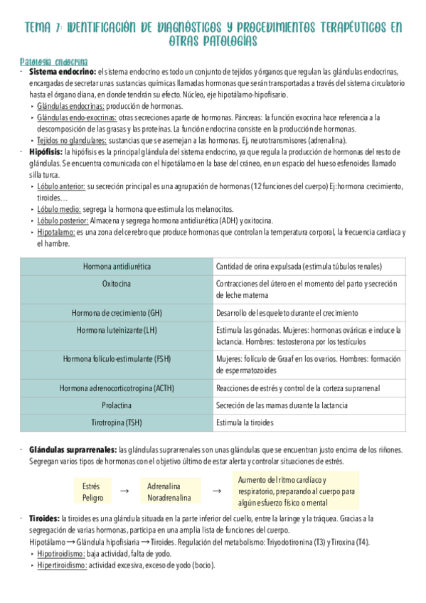Miniatura del documento 7-EXT-UF2.pdf