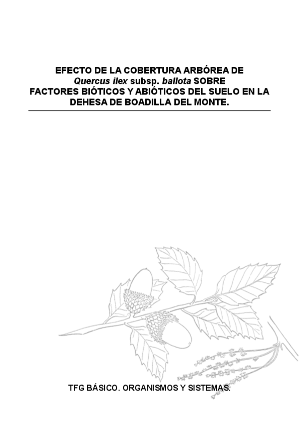 Miniatura del documento TFG_Org_Sist.pdf