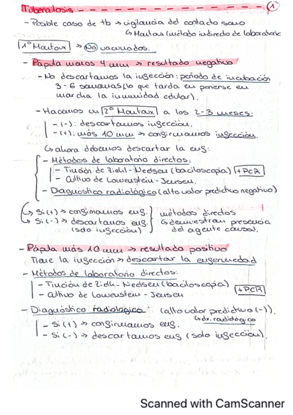 Miniatura del documento Apuntes-escritos.pdf