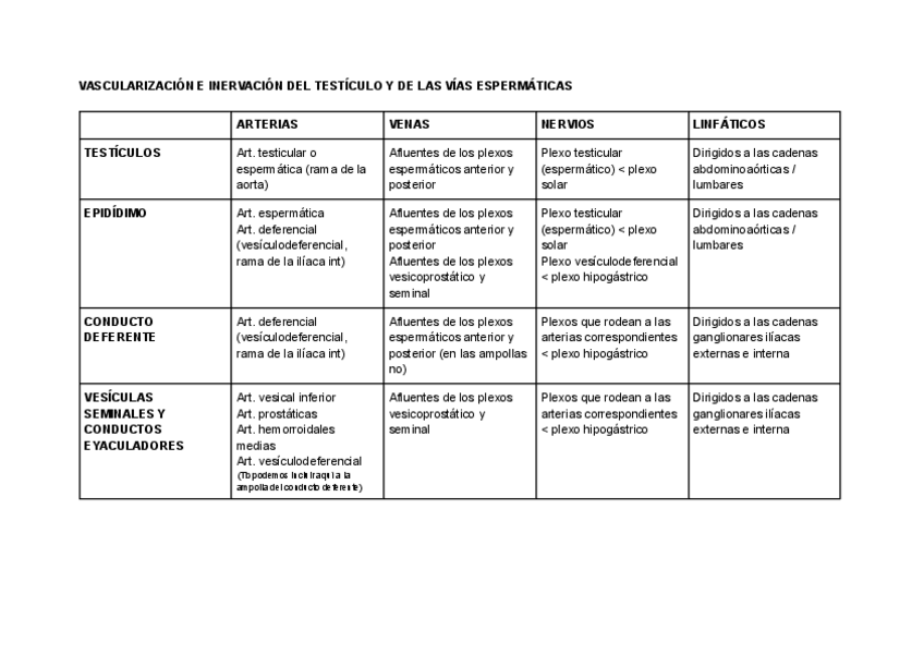 Miniatura del documento VASCULARIZACION-E-INERVACION-DEL-TESTICULO-Y-LAS-VIAS-ESPERMATICAS.pdf