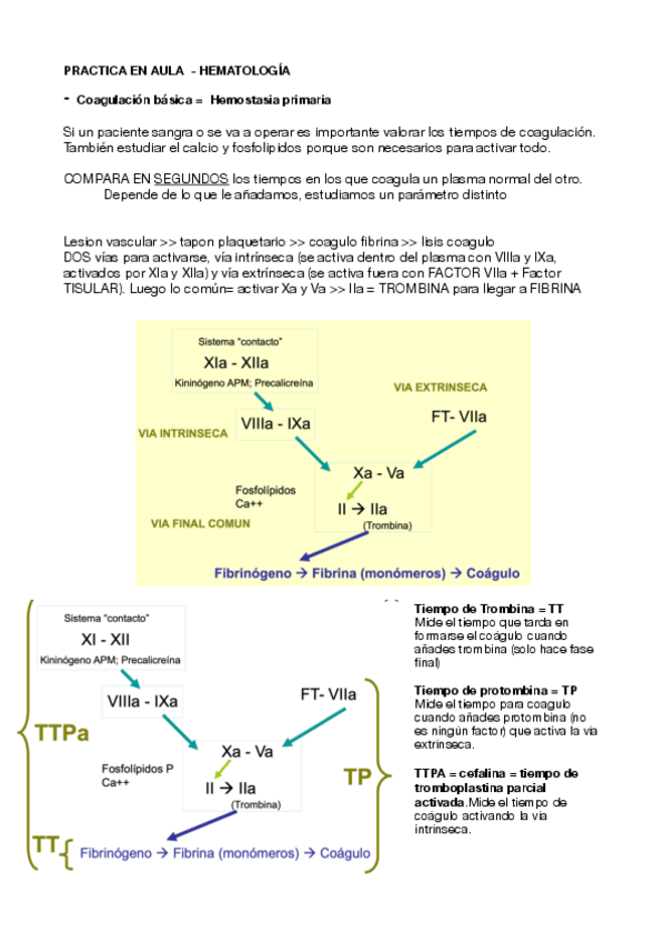 Miniatura del documento Practica-en-aula-hemato.-PDF.pdf