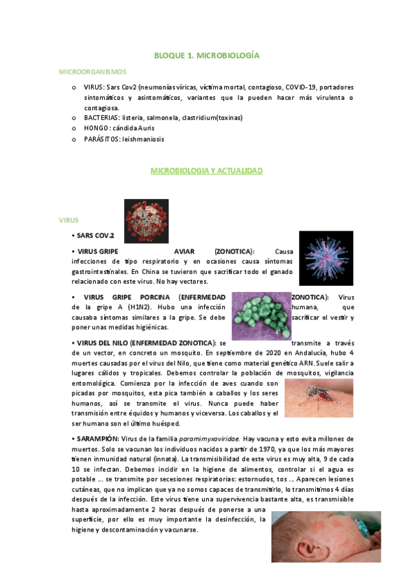 Miniatura del documento BLOQUE-1.-MICROBIOLOGIA.pdf