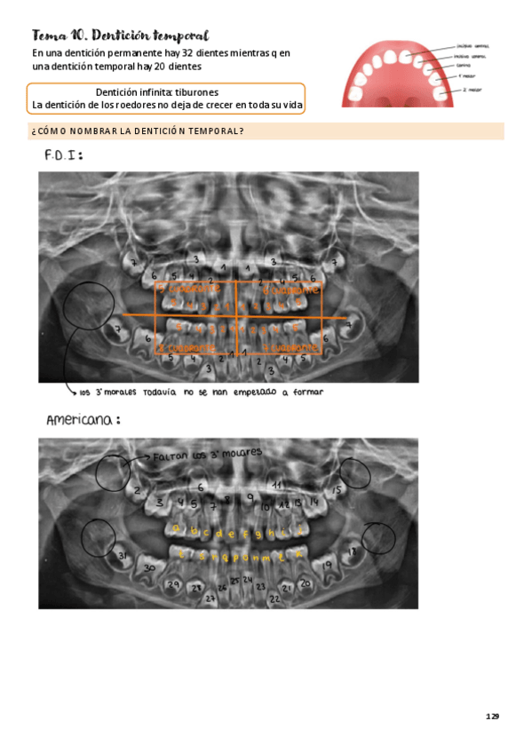 Miniatura del documento tema-10-denticion-temporal.pdf