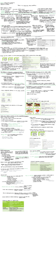 Miniatura del documento Tema-4.-El-desarrollo-lexico-semantico.pdf