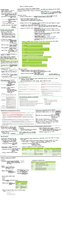 Miniatura del documento Tema-6.-El-desarrollo-pragmatico.pdf