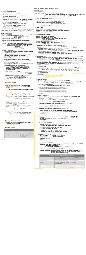 Miniatura del documento Tema-5.-Adultez-media-y-desarrollo-fisico.pdf