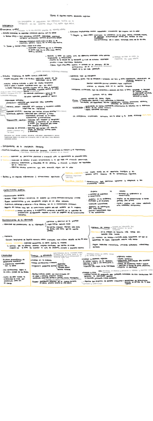 Miniatura del documento Tema-6.-Adultez-media-y-desarrollo-cognitivo.pdf