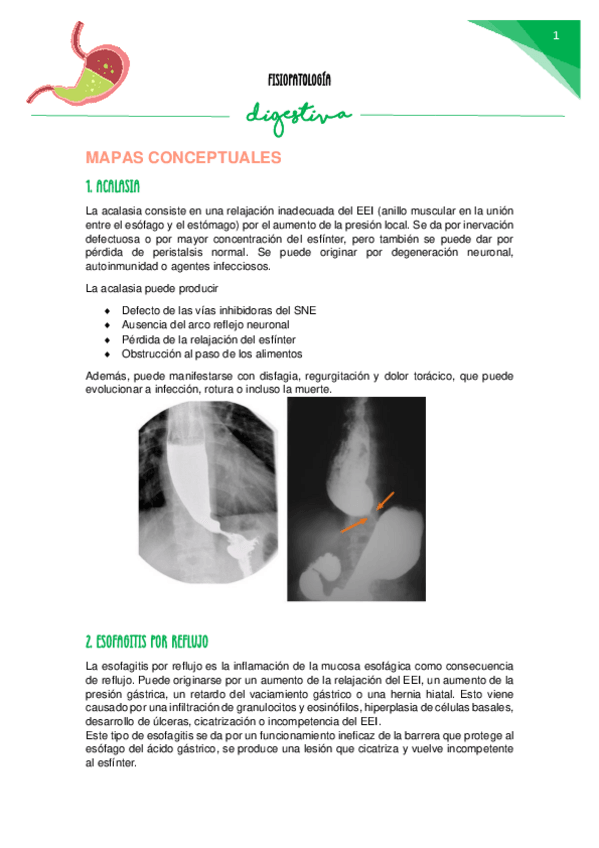 Miniatura del documento Apuntes-fisiopatologia-digestiva--preguntas-examenes.pdf