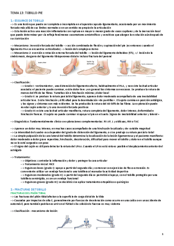 Miniatura del documento TEMA-13-AFECCIONES.pdf