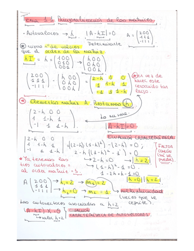 Miniatura del documento Tema-11-Diagonalizacion-de-las-matrices..pdf