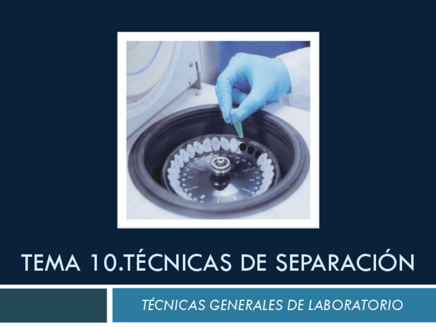 Miniatura del documento TGLPresentacion-Tema-10.pdf