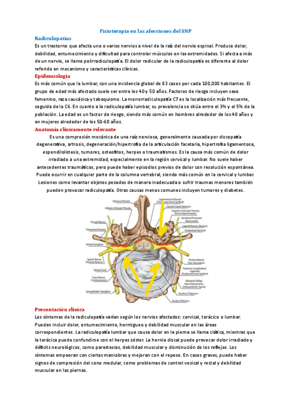 Miniatura del documento Tema-10-Fisio-Neuro.pdf
