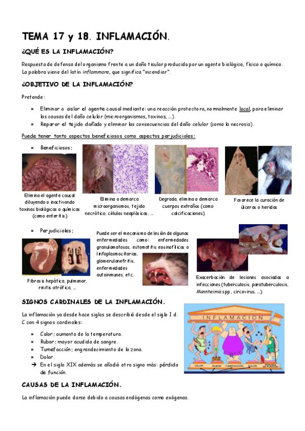 Miniatura del documento Temas-17-18-APG.pdf