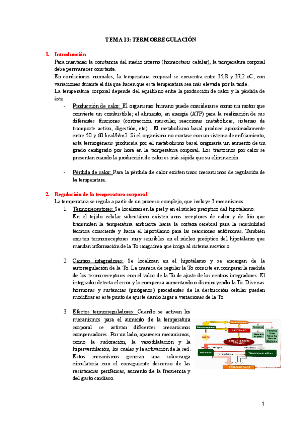 Miniatura del documento TEMA-13-TERMORREGULACION.pdf